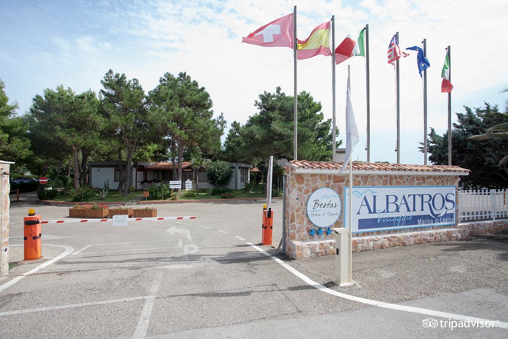 Futura Club Albatros