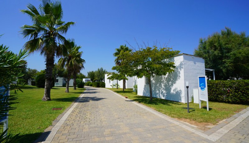 Futura Club Torre Rinalda
