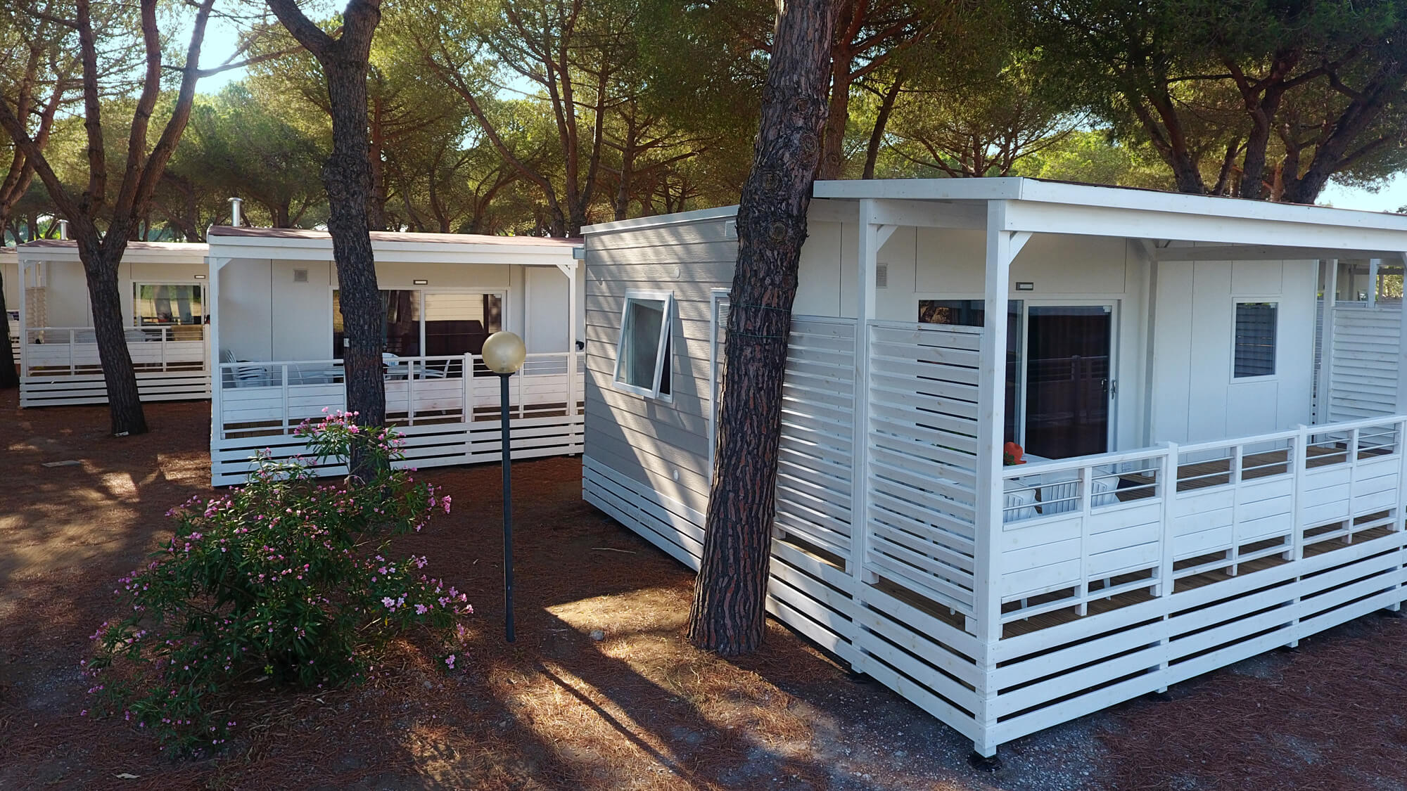 Orbetello Family Collection Orbetello Family Collection